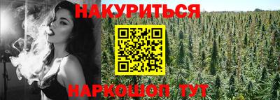 соль ск Будённовск