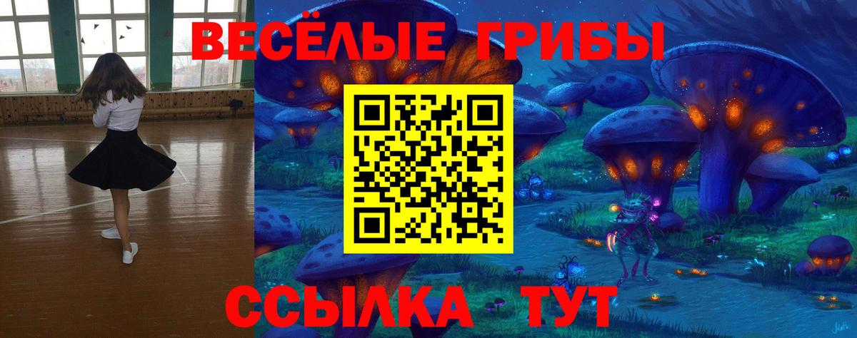 Галлюциногенные грибы MAGIC MUSHROOMS  Вход с VPN  Псилоцибиновые грибы MAGIC MUSHROOMS  Свободный 